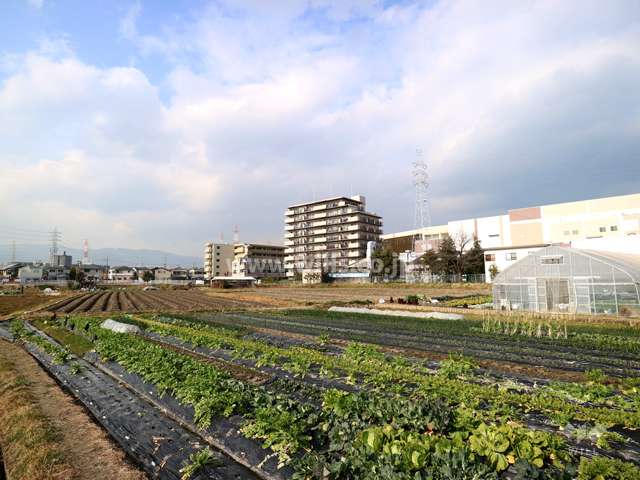 カルム西伊丹の遠景