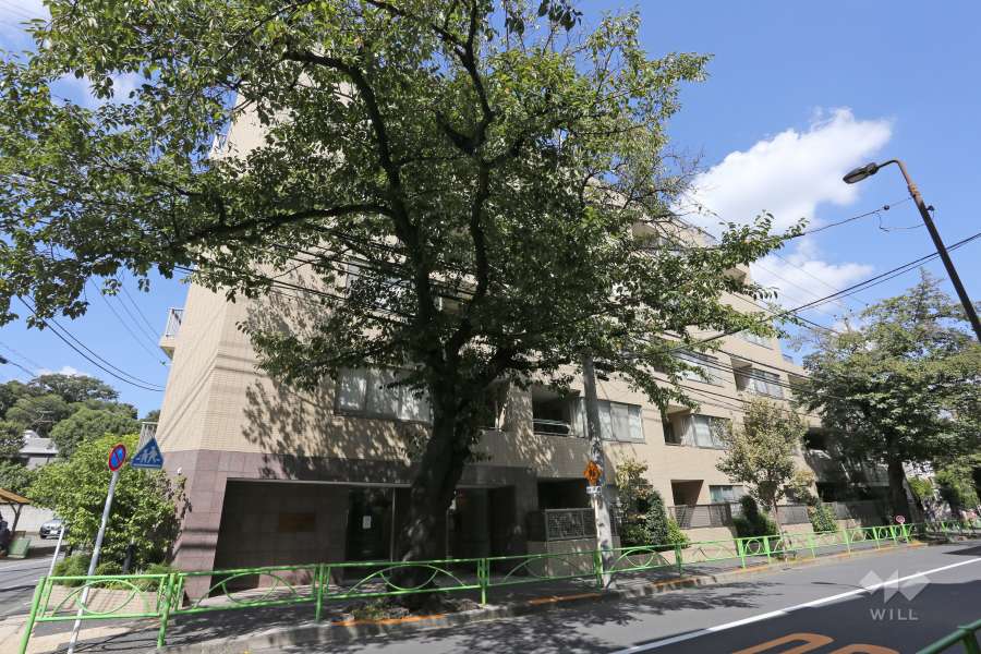 サンフル碑文谷碑さくら通りノースサイドの外観（南西側から）