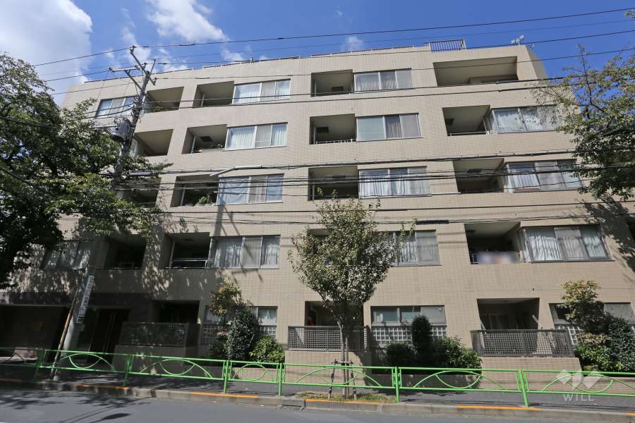 サンフル碑文谷碑さくら通りノースサイドの外観（南側から）