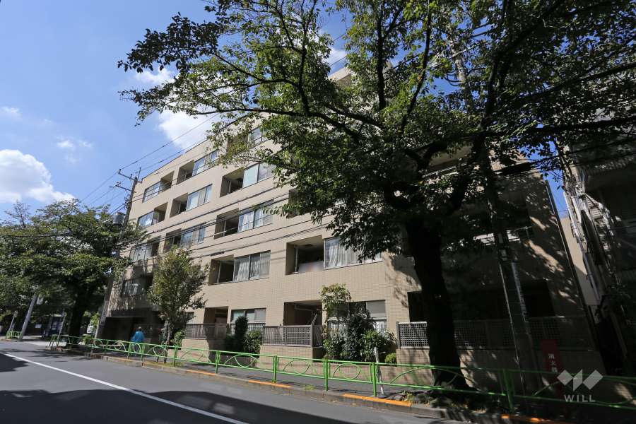 サンフル碑文谷碑さくら通りノースサイドの外観（南東側から）