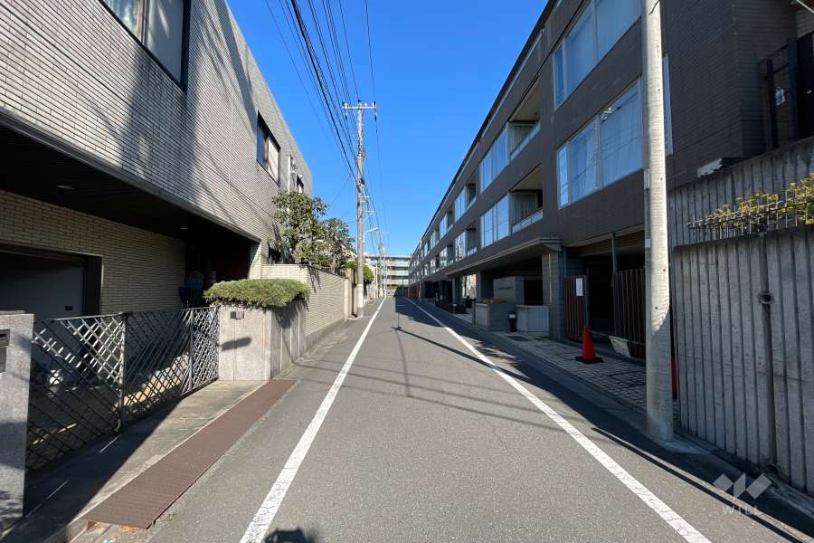 敷地南西側の前面道路（南東側から）
