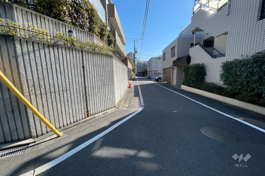 敷地南側の前面道路（西側から）