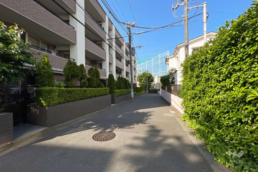 敷地南東側の前面道路（南西側から）