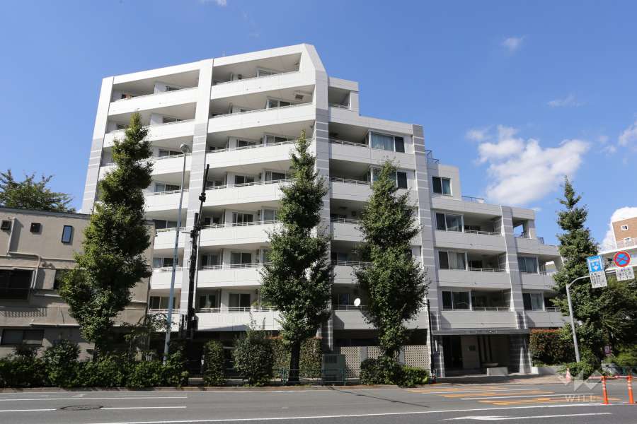 ダイナシティ碑文谷の外観（南側から）