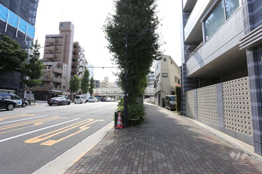 敷地の南東側前面道路（北東側から）