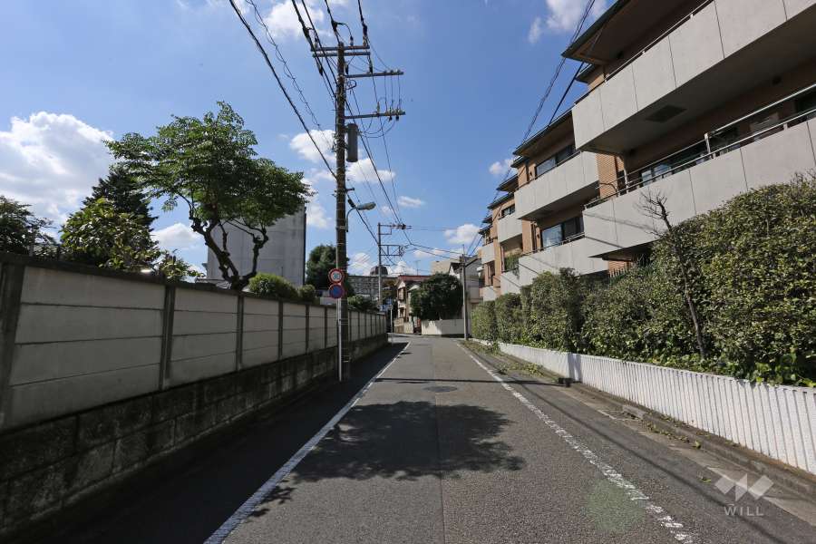 敷地南側の前面道路（東側から）