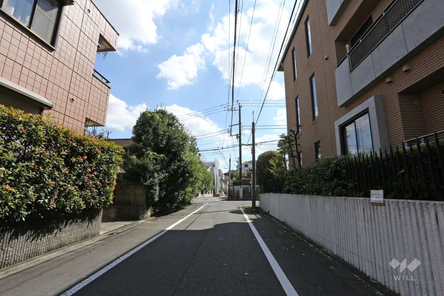 敷地東側の前面道路（北側から）