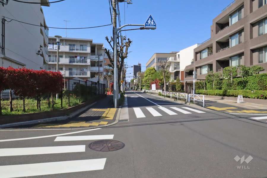 敷地西側の前面道路（南側から）