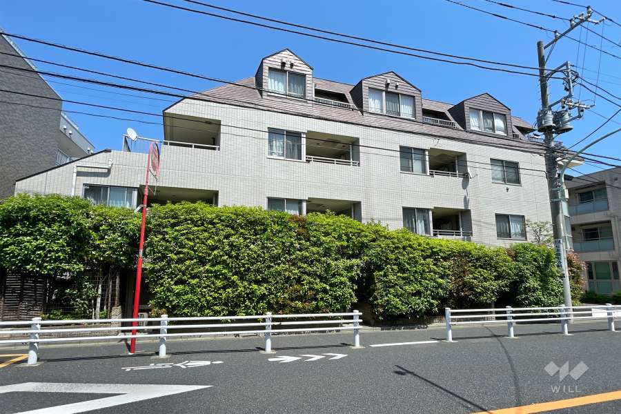 ドーマ八雲の外観（西側から）