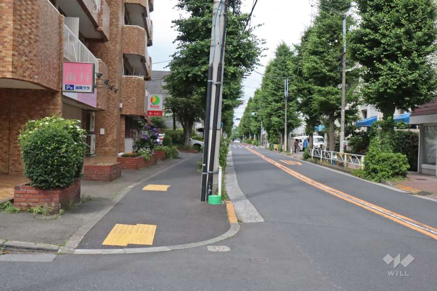 敷地南東側の前面道路は野沢通りです(南西側から)。