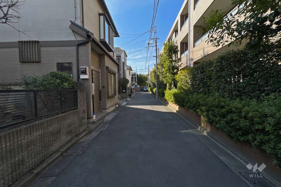 敷地東側の前面道路（北側から）