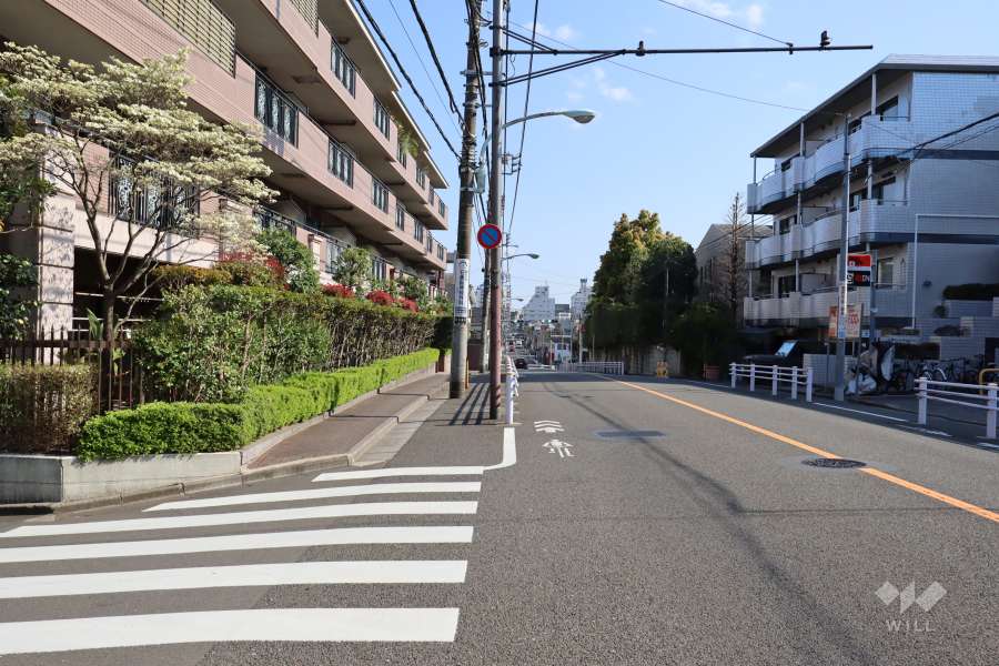 敷地西側の前面道路