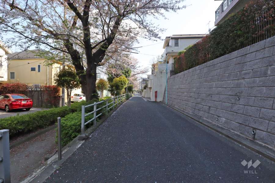 敷地北東側の前面道路　