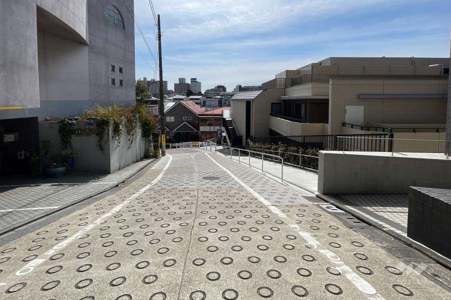 敷地東側の前面道路（北側から）