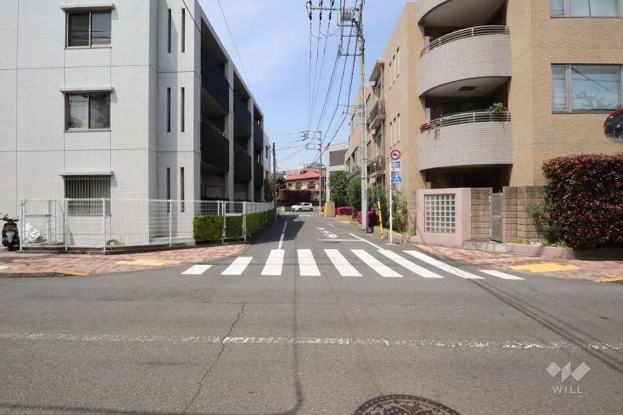 敷地南西側の前面道路