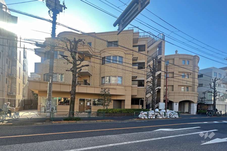 グランシティ祐天寺ラフィエールの遠景。