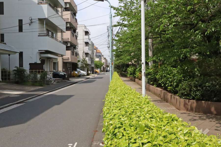 敷地南側の前面道路(東側から)