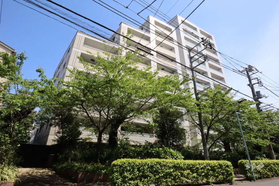 ザ目黒桜レジデンスの外観(南西側から)