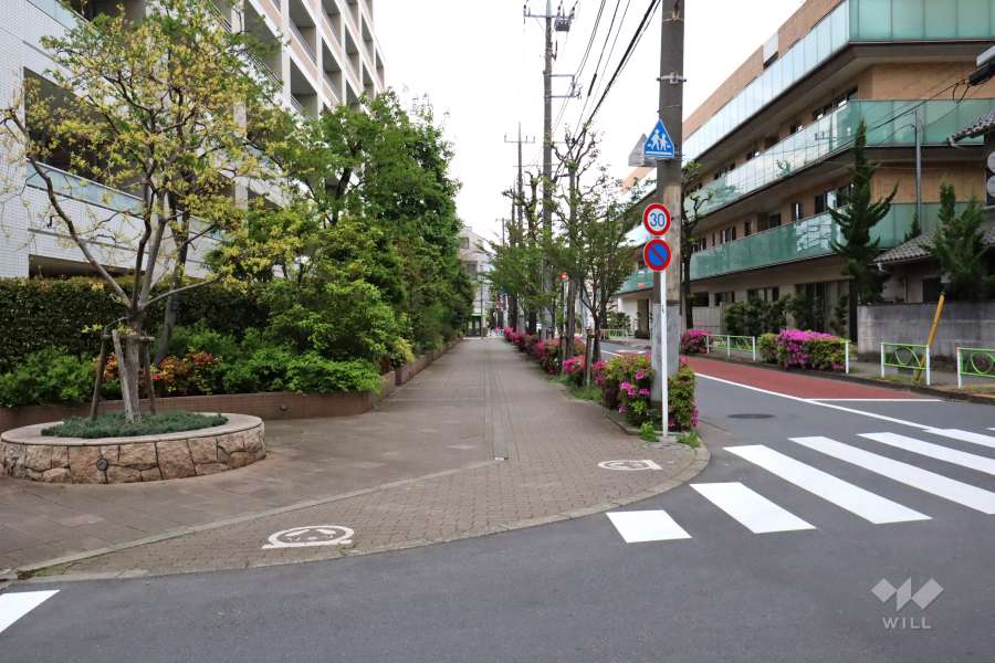 敷地南東側の前面道路