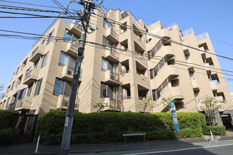 ビラハイツ学芸大学の外観(西側から)