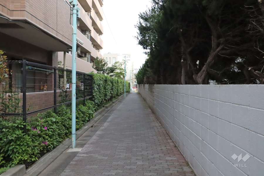 敷地西側の前面道路