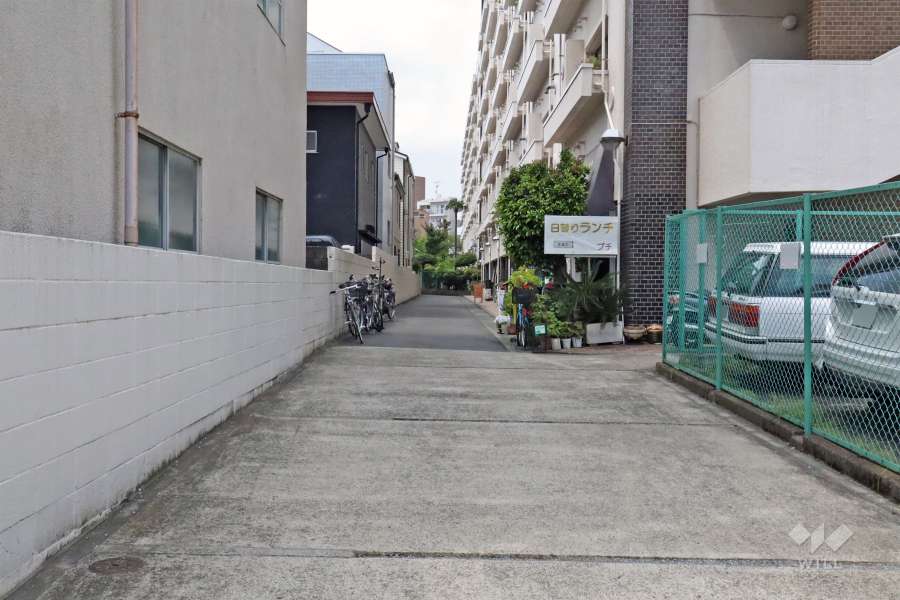 敷地内の南側通路