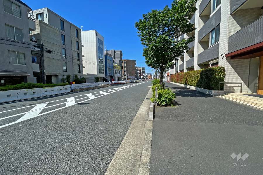 敷地南東側の前面道路（北東側から）