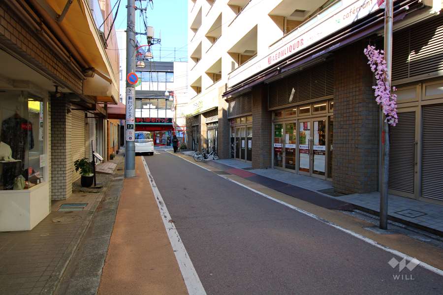 敷地南側の前面道路（東側から）