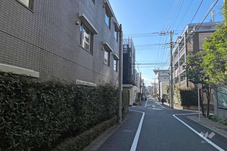 敷地北側の前面道路（東側から）