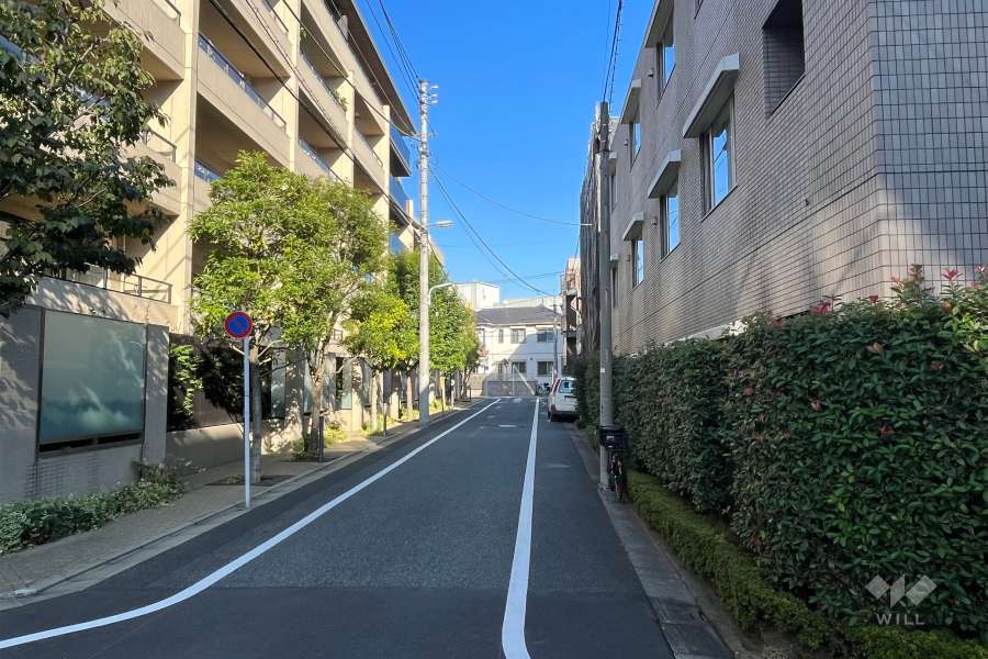 敷地北側の前面道路（西側から）