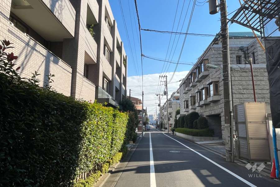 敷地の西側前面道路（北側から）