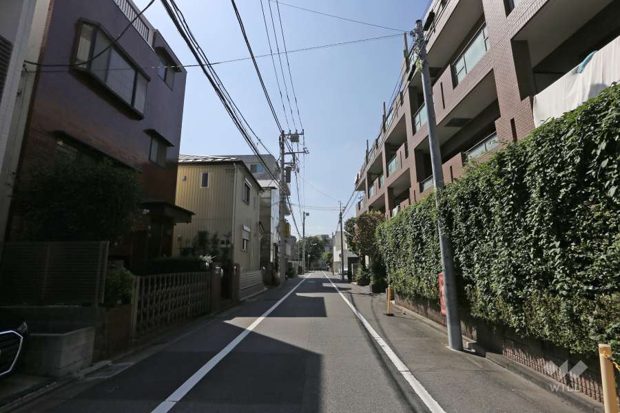 敷地の南側前面道路（東側から）