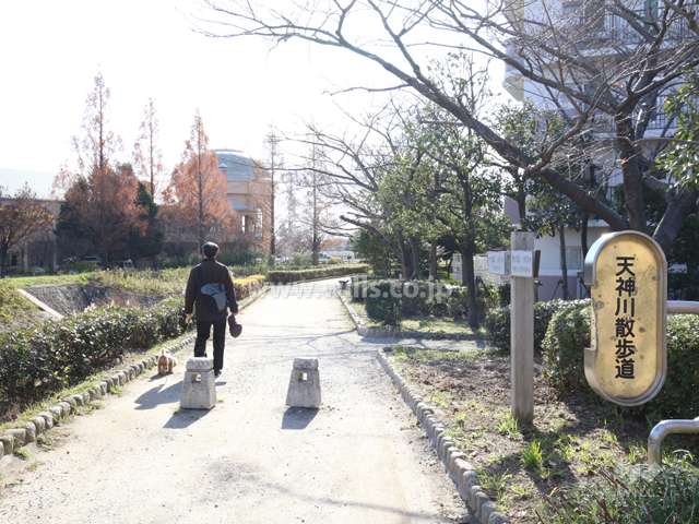 天神川沿いの天神川散歩道