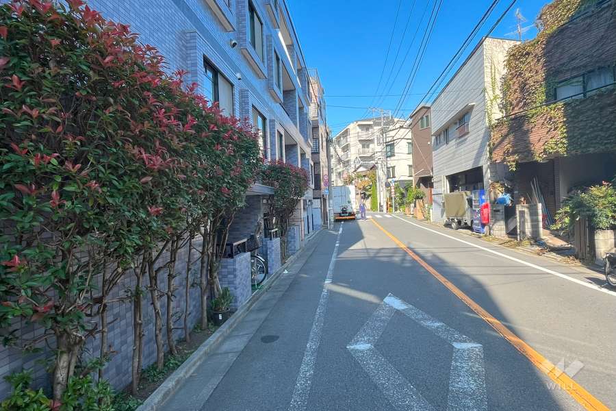 敷地南東側の前面道路（南西側から）