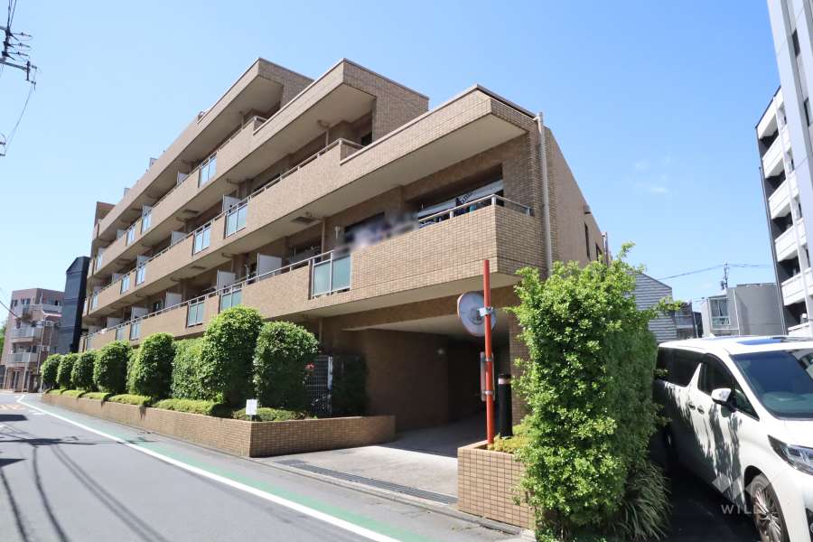 ソフィア学芸大学の外観(北東側から)
