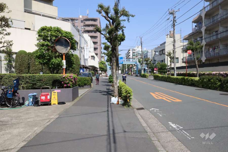 敷地北東側の前面道路(南東側から)