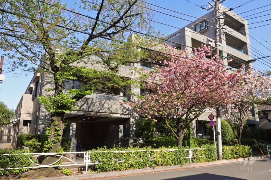 パークステージ碑文谷の外観(北西側から)