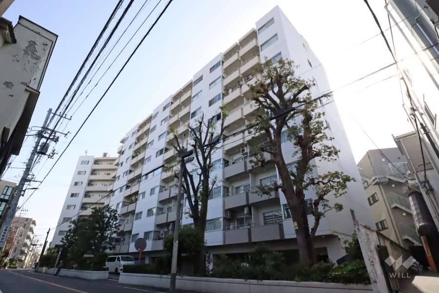 マンションニュー目黒の外観(北東側から)　