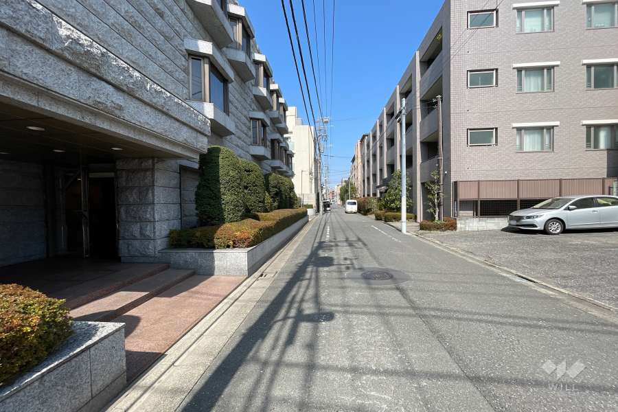 敷地東側の前面道路　