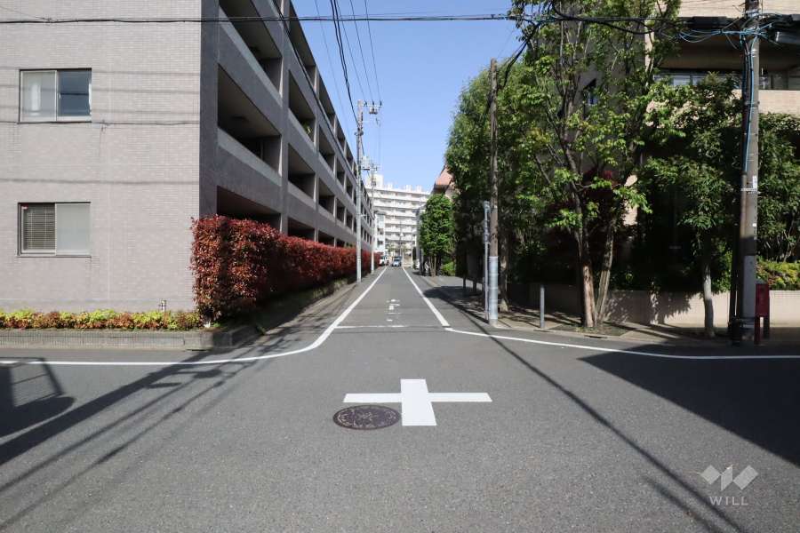 敷地南側の前面道路(西側から)