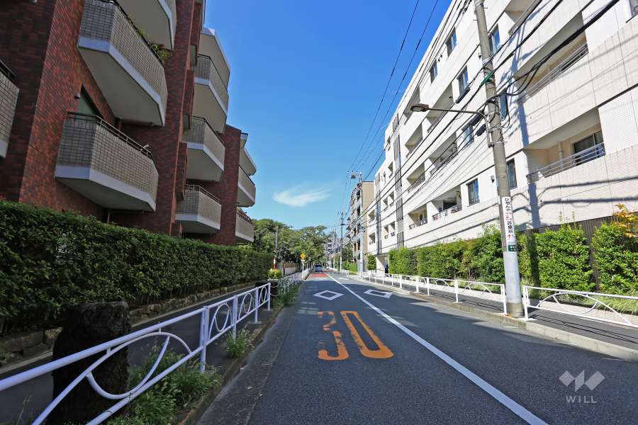 敷地東側の前面道路