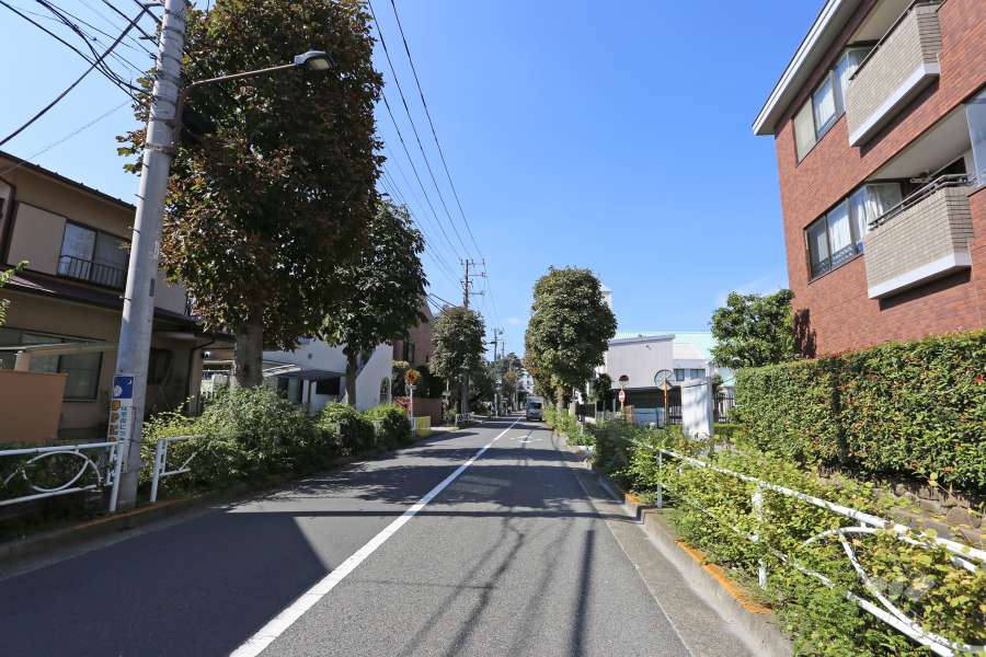 敷地西側の前面道路