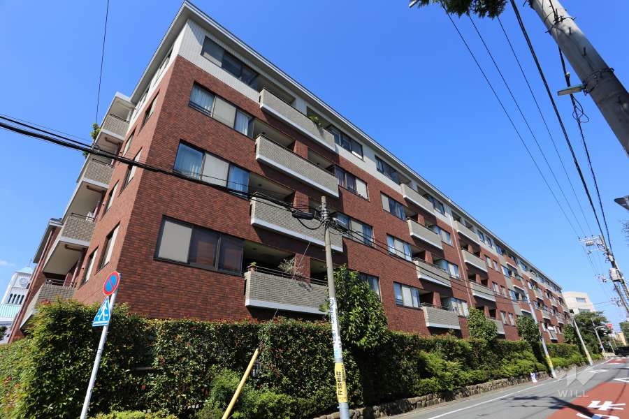 碑文谷ヒルズサレジオ通りの外観（南西側から）