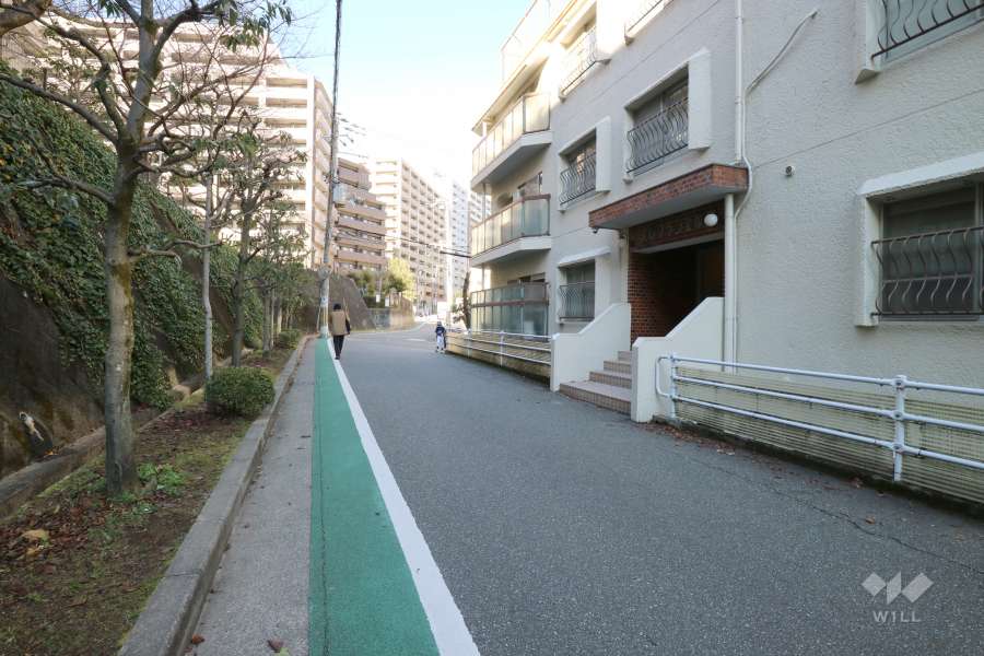 敷地南西側の前面道路