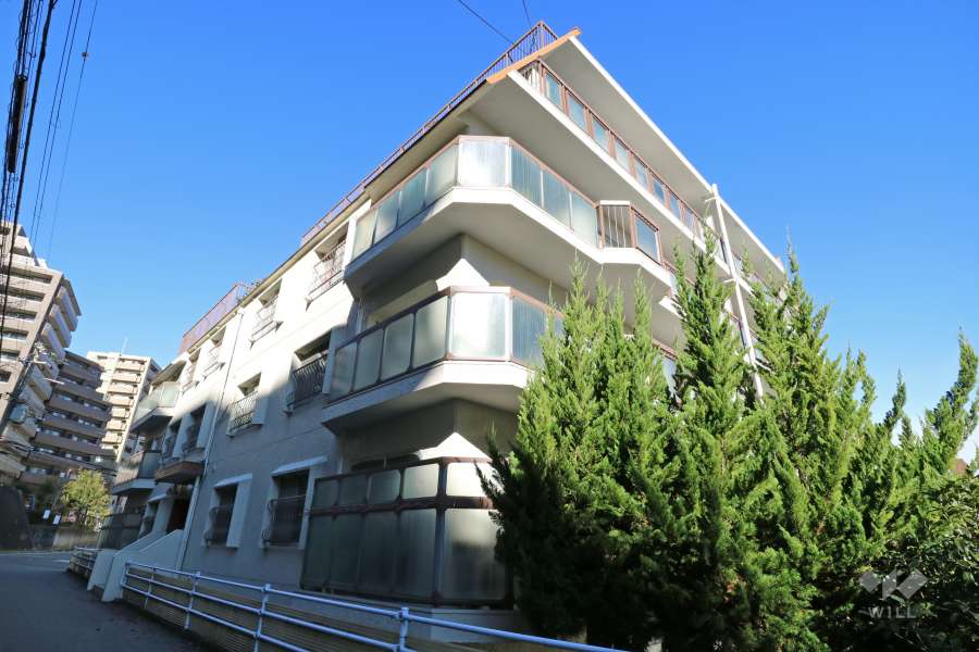 パレブラン宝塚の外観（南側から）