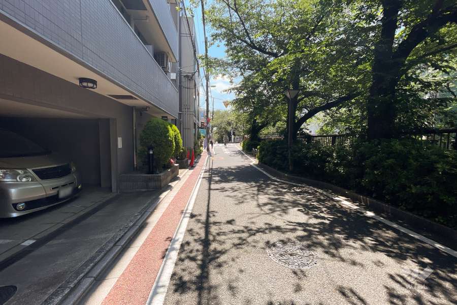 敷地南西側の前面道路