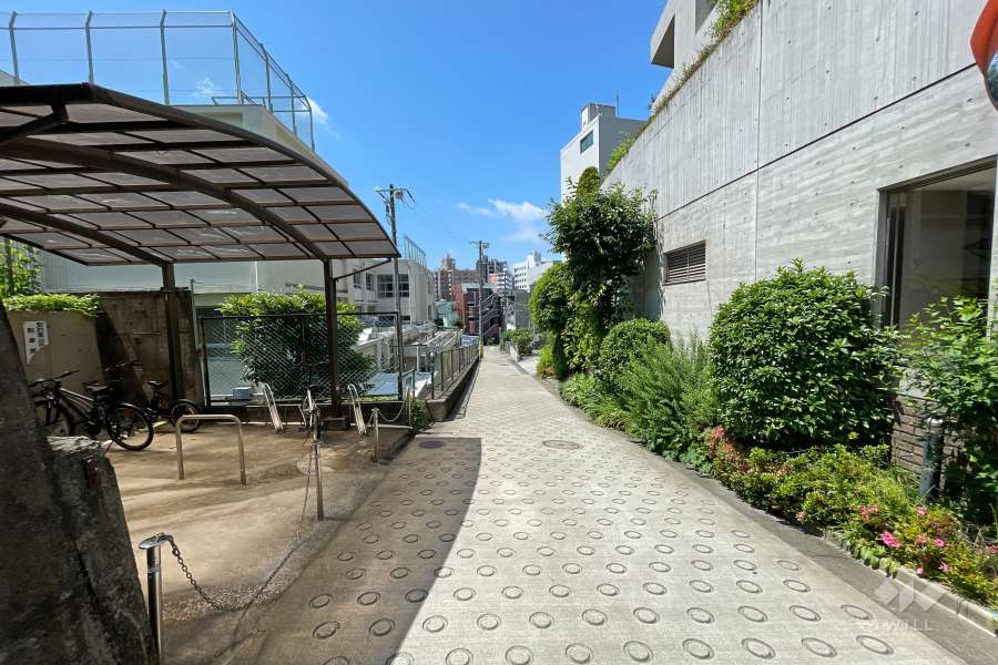 敷地南東側の前面道路（北東側から）