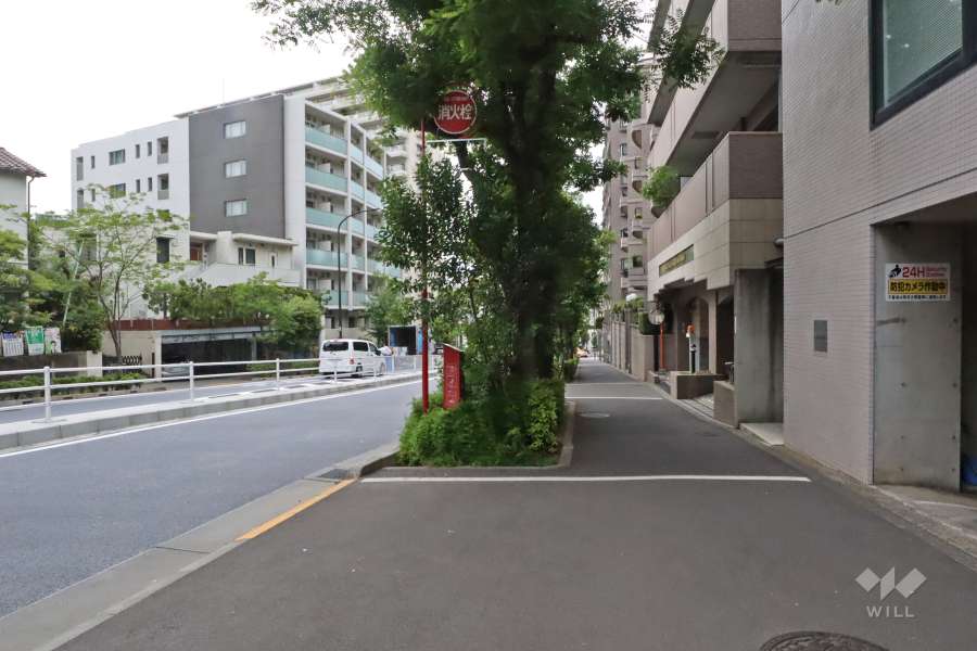 敷地南側の前面道路（東側から）