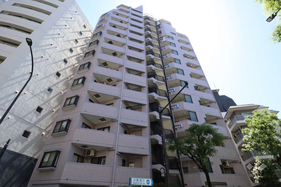 マンションの外観(北東側から)