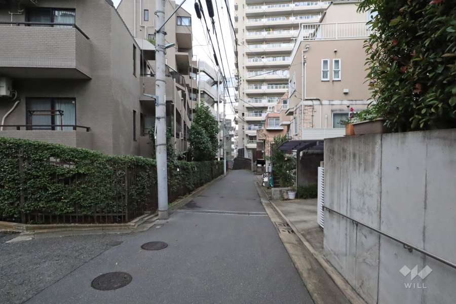 敷地北側の前面道路(東側から)